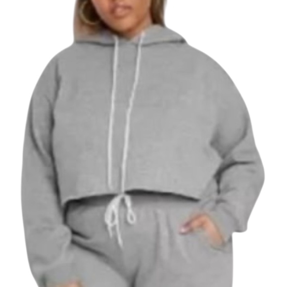 Wild Fable Cropped Hooded Sweatshirt in Heather Gray - Picture 1 of 8